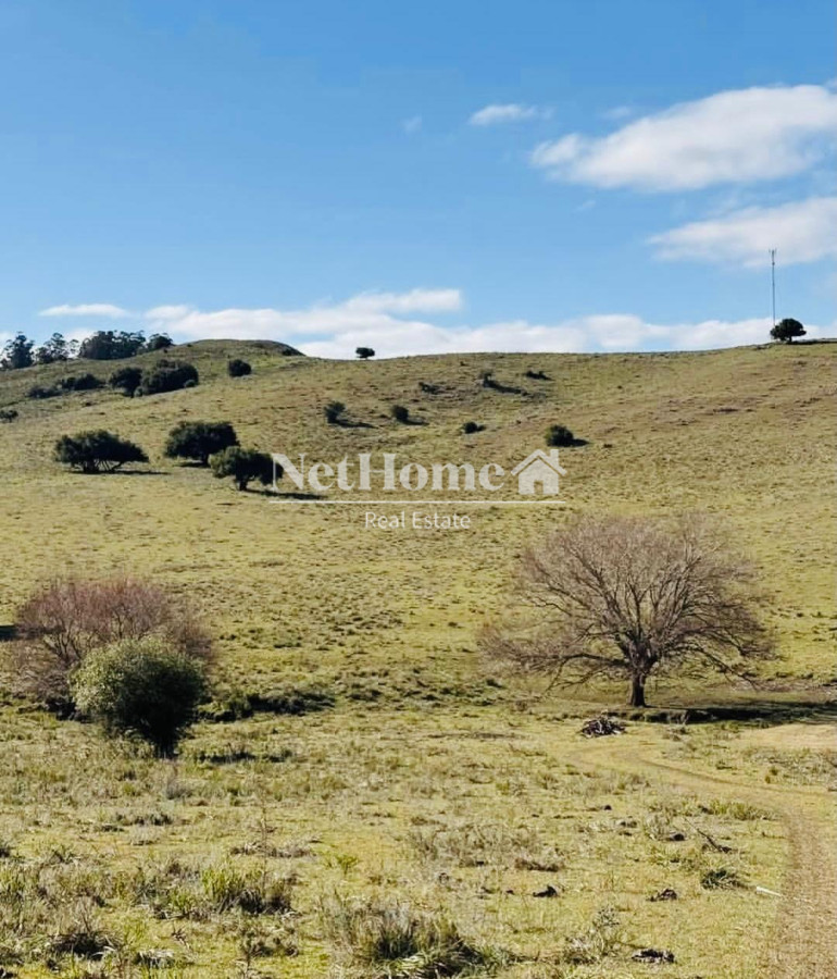 Campo Ref.959 - CAMPO DE 26 HECTAREAS EXCELENTE UBICACION
