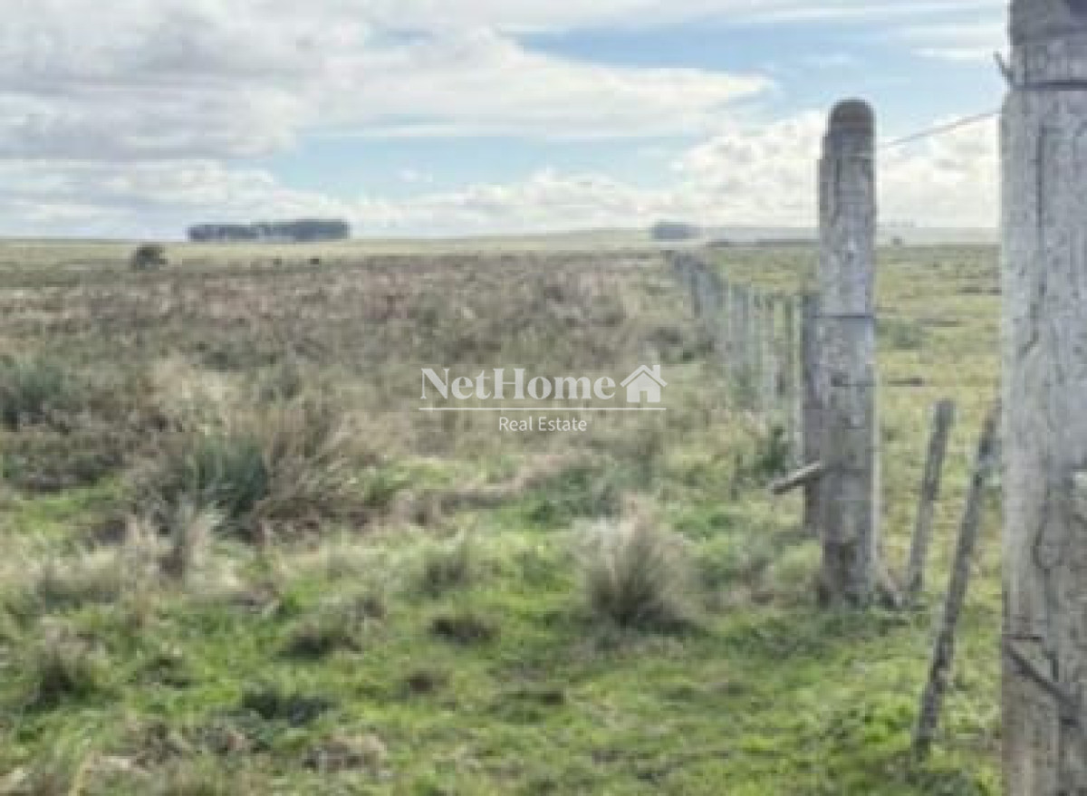 Campo Ref.1128 - 650 ha Agricolas Ganaderas Rocha