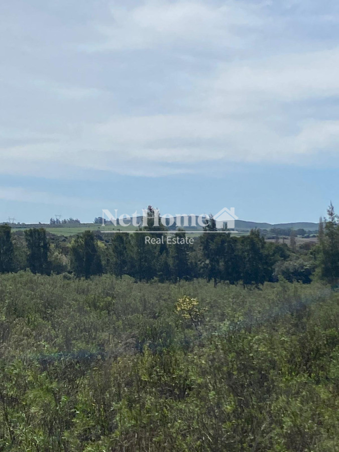 Campo Ref.967 - EXELENTE CAMPO DE 12 HETAREAS SOBRE RUTA 9