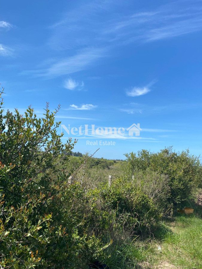 Campo Ref.967 - EXELENTE CAMPO DE 12 HETAREAS SOBRE RUTA 9