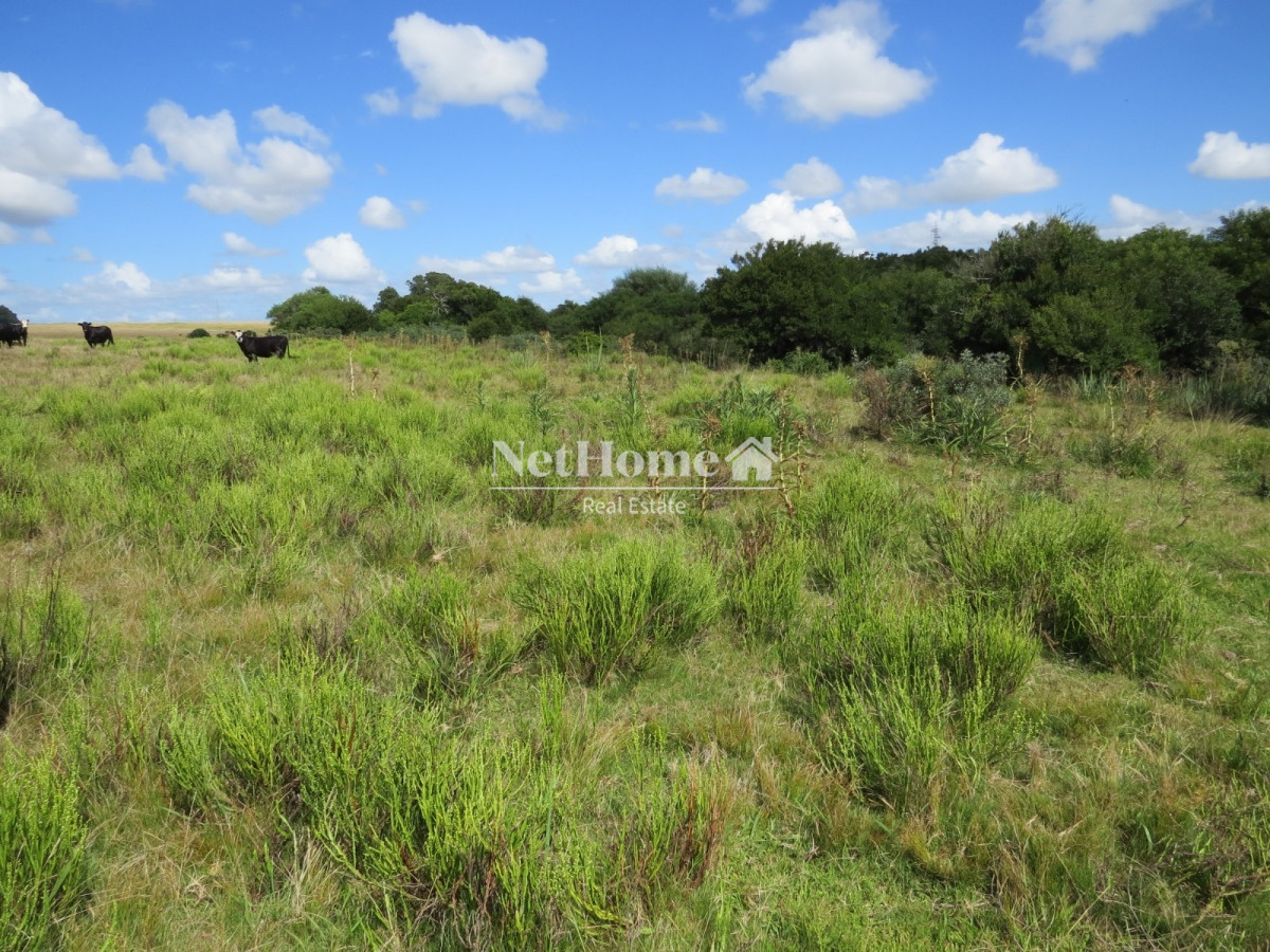 Campo Ref.312 - Campo 50Ha José Ignacio Turístico para fraccionamiento