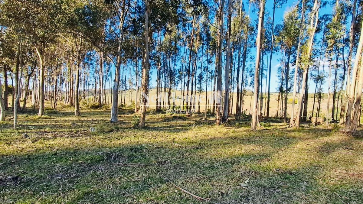 Campo Ref.959 - CAMPO DE 26 HECTAREAS EXCELENTE UBICACION 