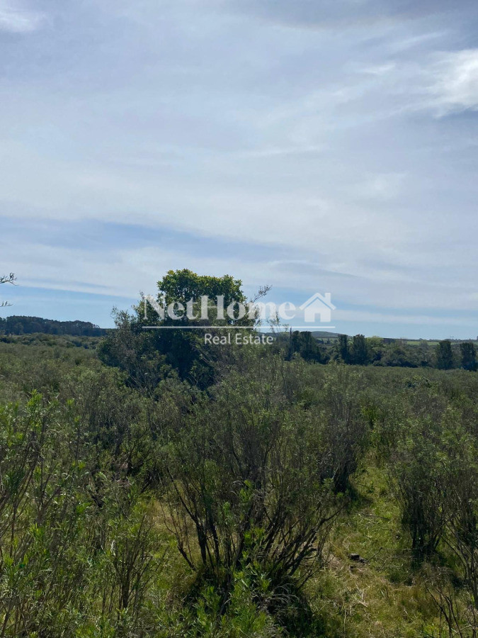 Campo Ref.967 - EXELENTE CAMPO DE 12 HETAREAS SOBRE RUTA 9