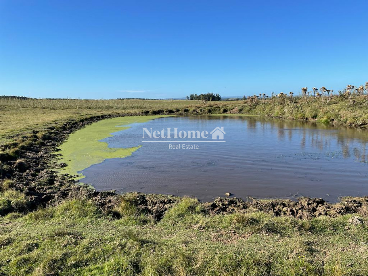 Campo Ref.310 - Fraccionamiento ya aprobado - 90Ha Jose Ignacio