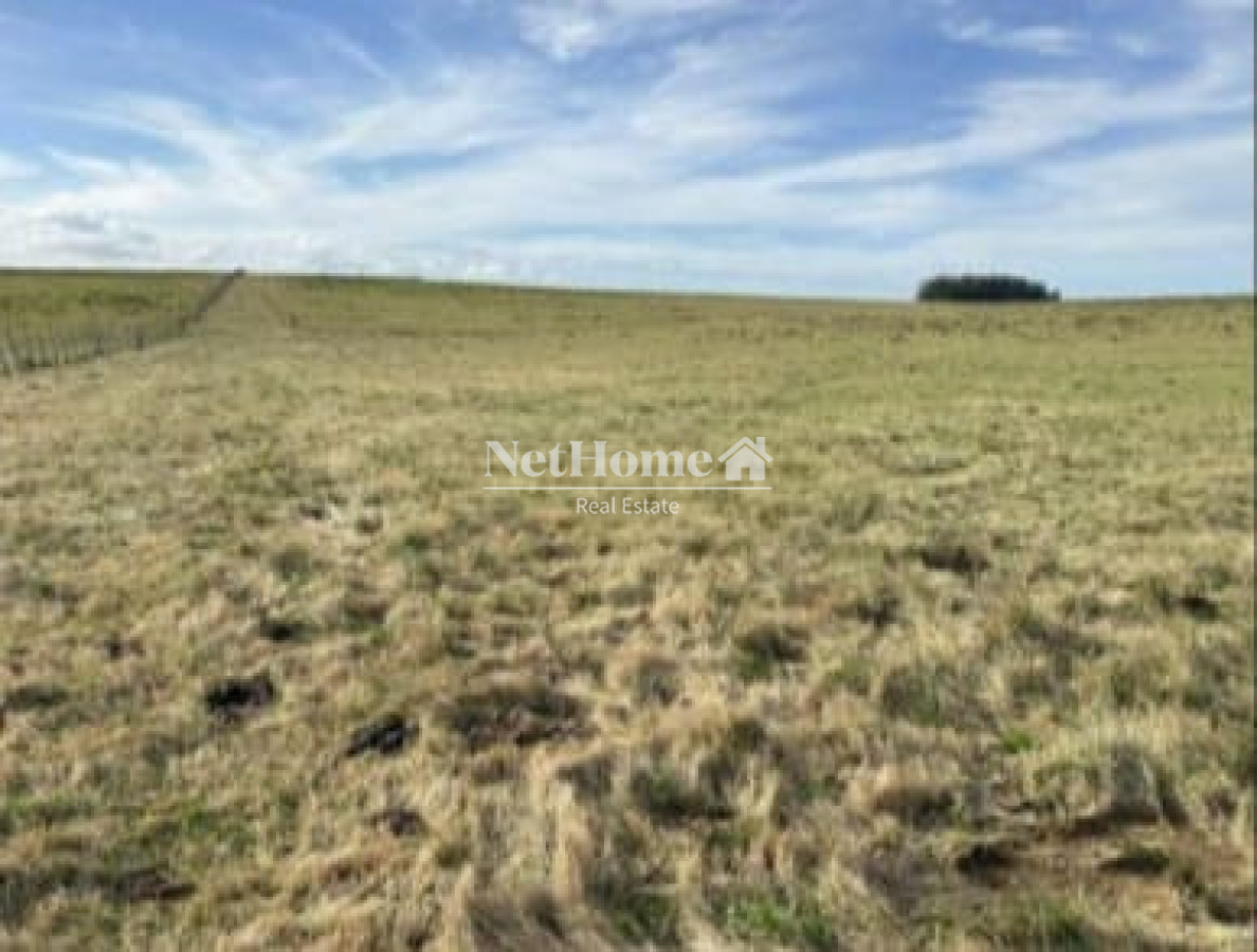 Campo Ref.1128 - 650 ha Agricolas Ganaderas Rocha