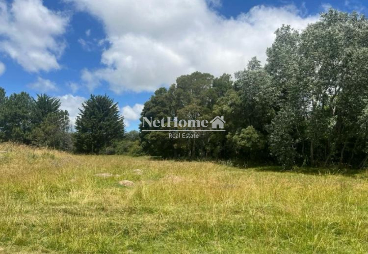 Campo Ref.1030 - 11 HECTARESD EN VENTA RUTA 104 , KILOMETRO 8