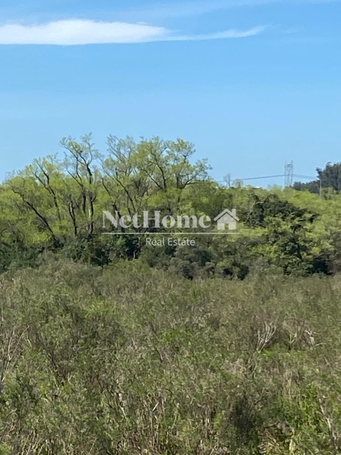 Campo Ref.967 - EXELENTE CAMPO DE 12 HETAREAS SOBRE RUTA 9