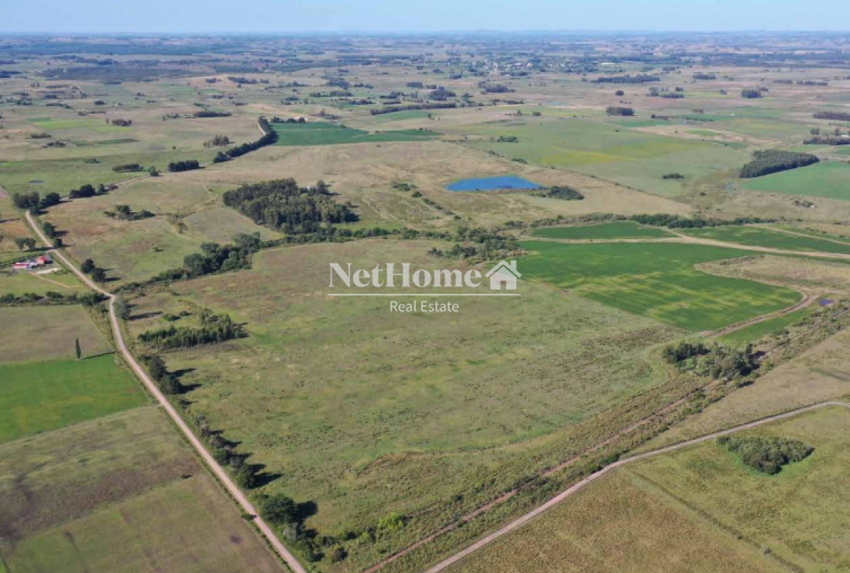 Campo Ref.295 - 148 Ha Establecimiento Migues
