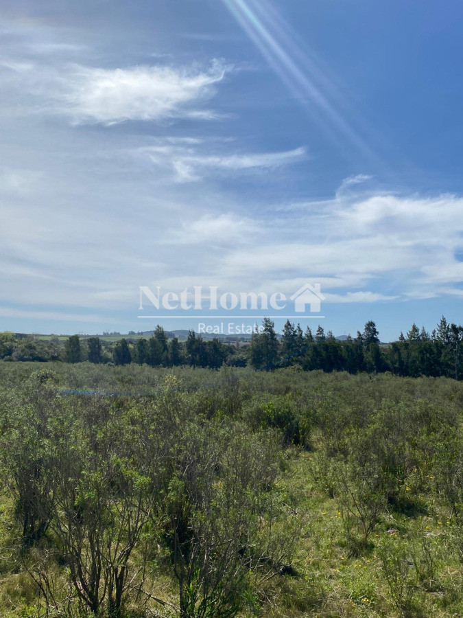 Campo Ref.967 - EXELENTE CAMPO DE 12 HETAREAS SOBRE RUTA 9