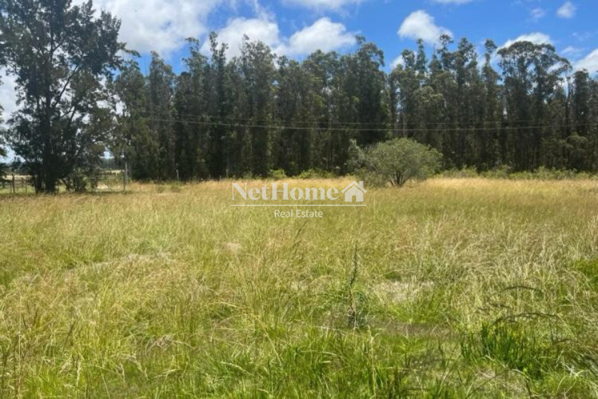 Campo Ref.1030 - 11 HECTARESD EN VENTA RUTA 104 , KILOMETRO 8