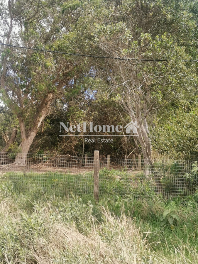 Terreno ID.969 - TERRENO EN SANTA MONIA CON VISTA DIRECTA A LA LAGUNA 