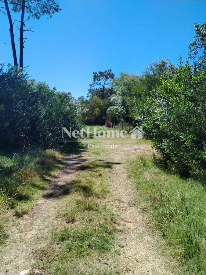 Terreno ID.788 - Terreno de 546 mts La Serena - Rocha
