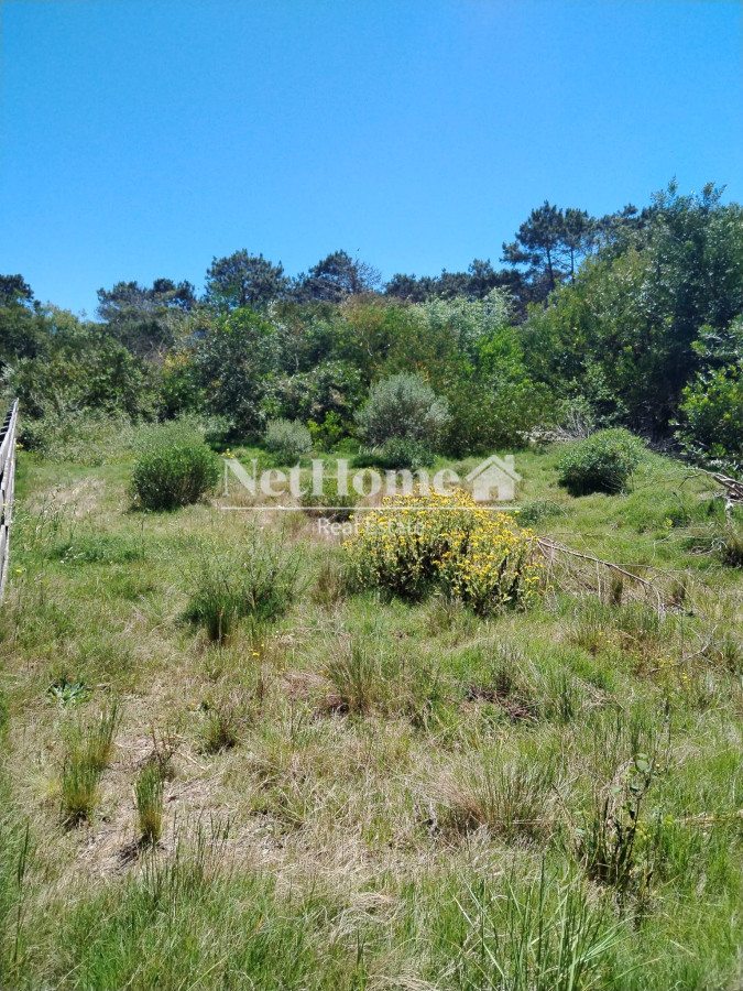 Terreno ID.788 - Terreno de 546 mts La Serena - Rocha