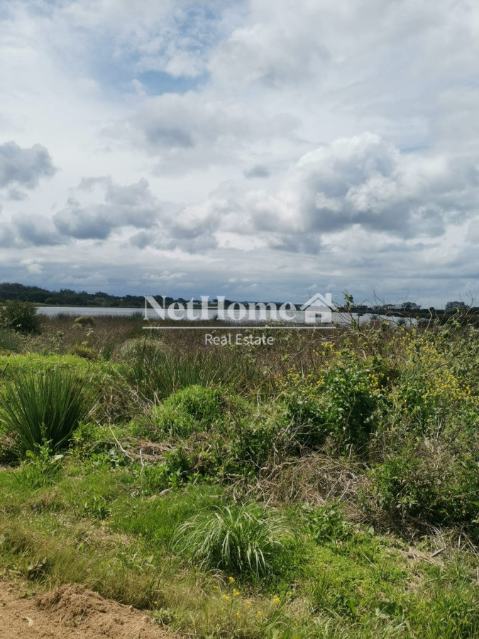 Terreno ID.969 - TERRENO EN SANTA MONIA CON VISTA DIRECTA A LA LAGUNA 