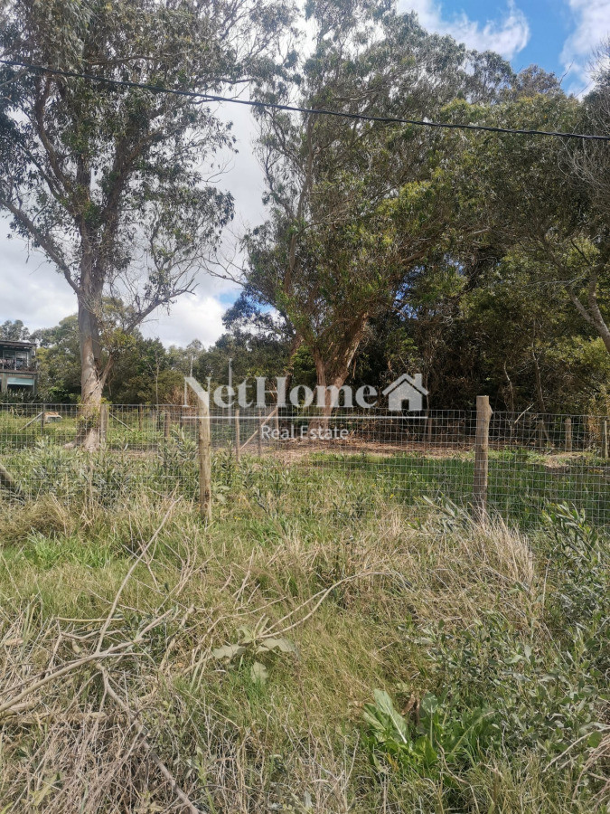 Terreno ID.969 - TERRENO EN SANTA MONIA CON VISTA DIRECTA A LA LAGUNA 