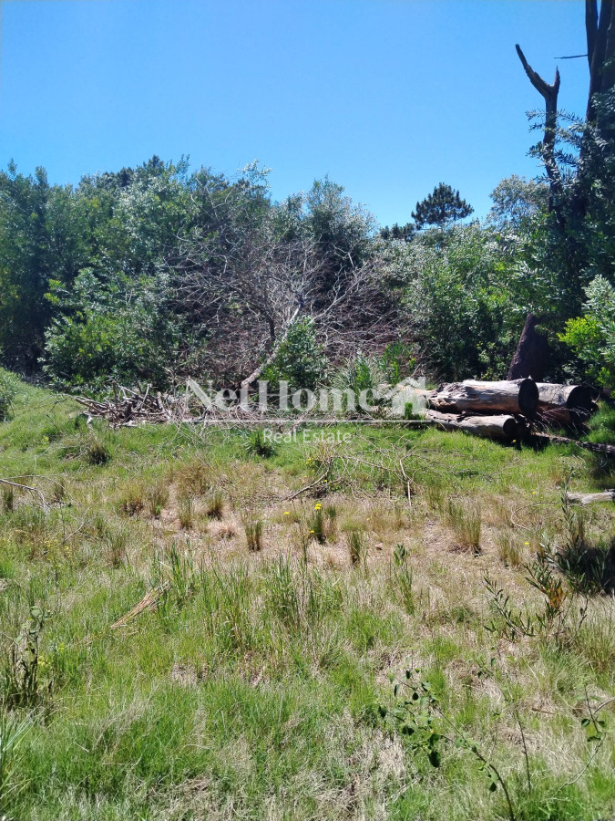 Terreno ID.788 - Terreno de 546 mts La Serena - Rocha