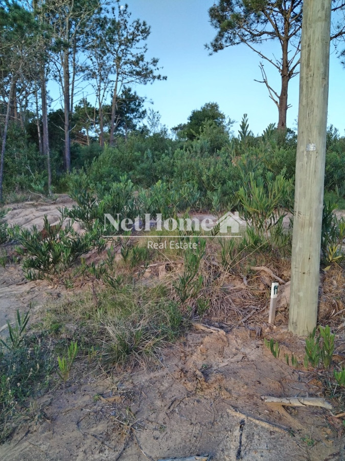 Terreno ID.638 - Terreno 525 m2 en Tierra Serena