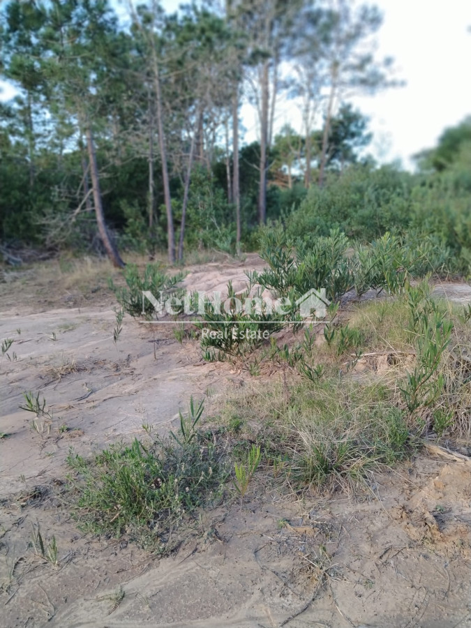 Terreno ID.638 - Terreno 525 m2 en Tierra Serena