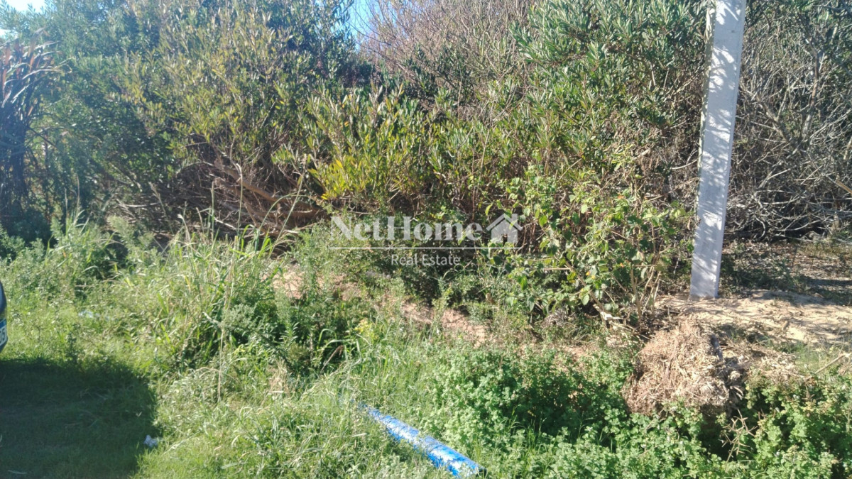 Terreno ID.1055 - Terreno 500 mts Punta Rubia a metros del Mar