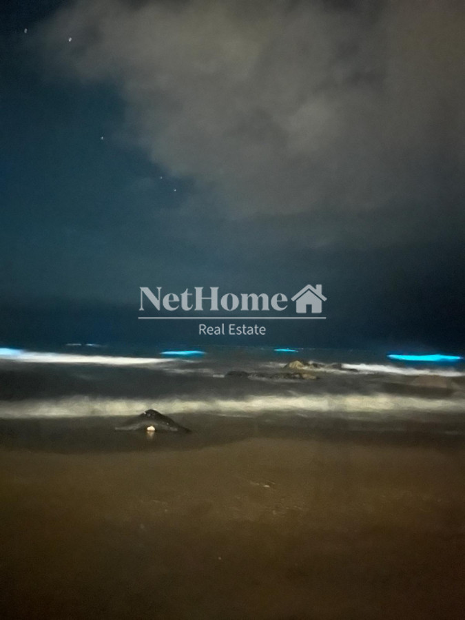 Hotel ID.1144 - Complejo Venta Punta Rubia - Rocha