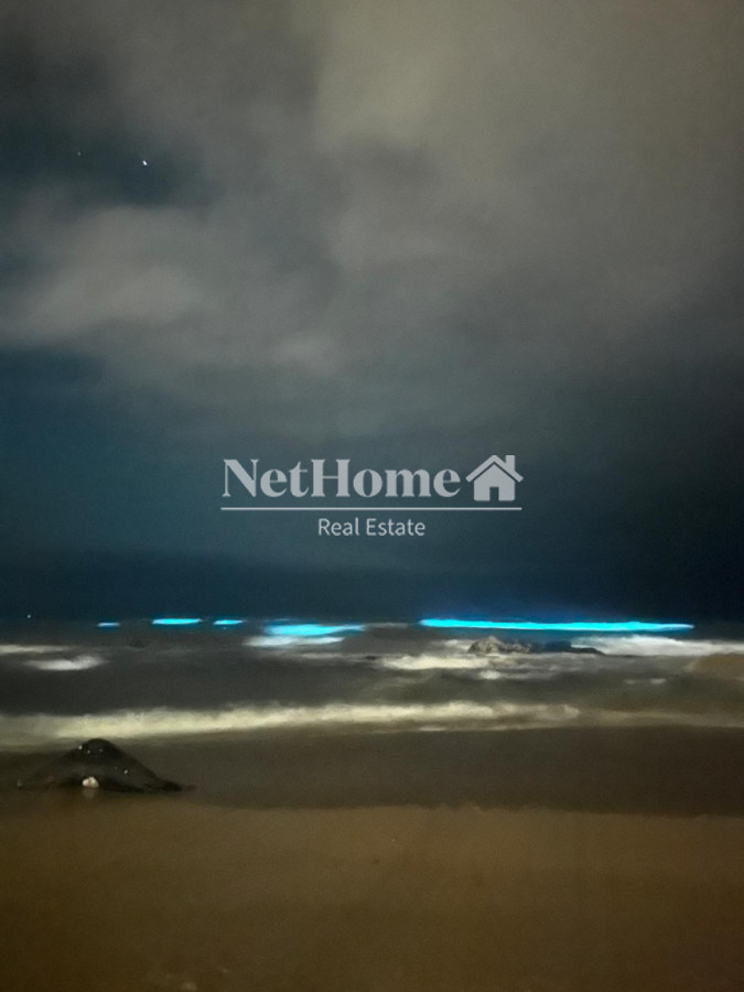 Hotel ID.1144 - Complejo Venta Punta Rubia - Rocha