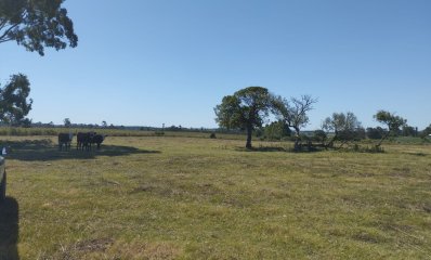 Venta Chacra, Estaciòn Atlàntida