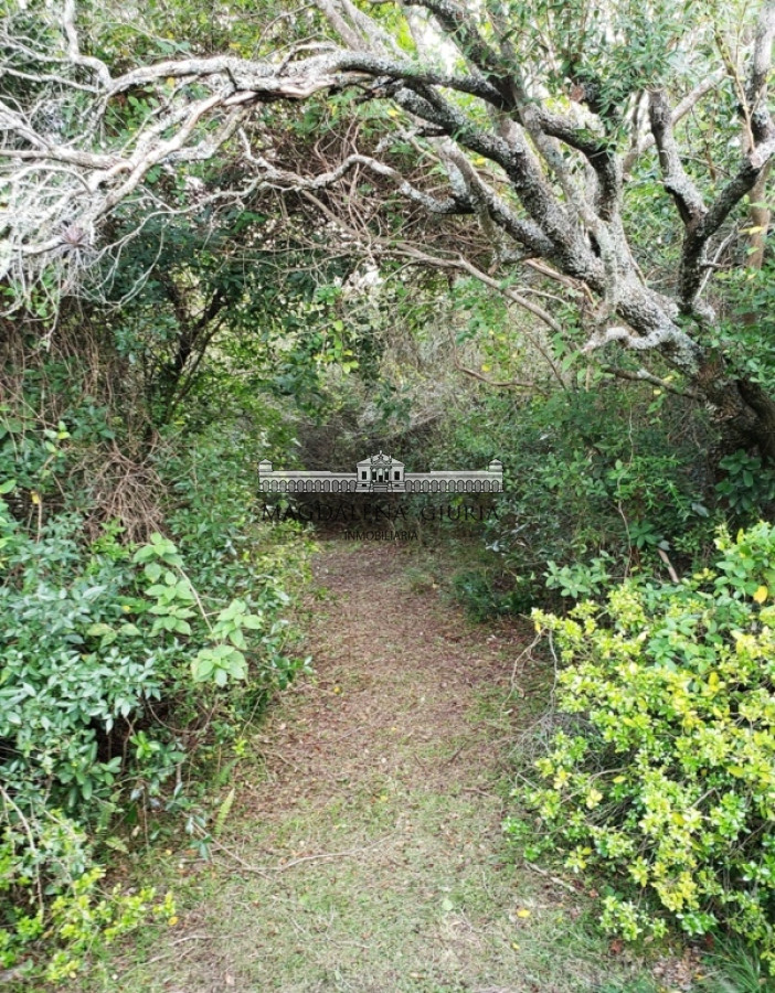 Pueblo Eden - GoPunta - Portal Inmobiliario de Punta del Este - Maldonado