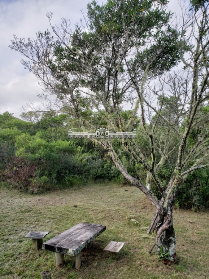 Pueblo Eden - GoPunta - Portal Inmobiliario de Punta del Este - Maldonado