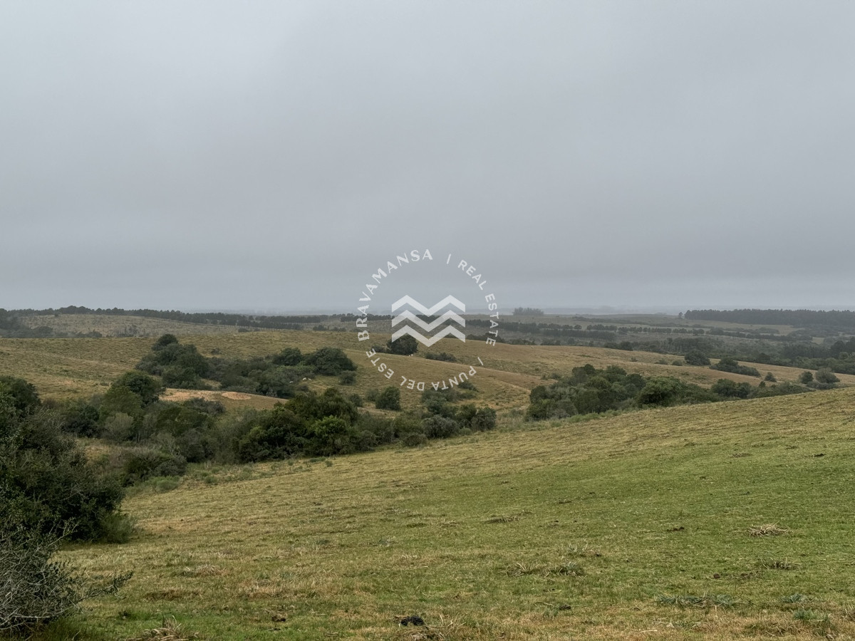 Chacra ID.273 - VENTA Chacra 5 ha en Chacras del Ferrocarril en Garzón