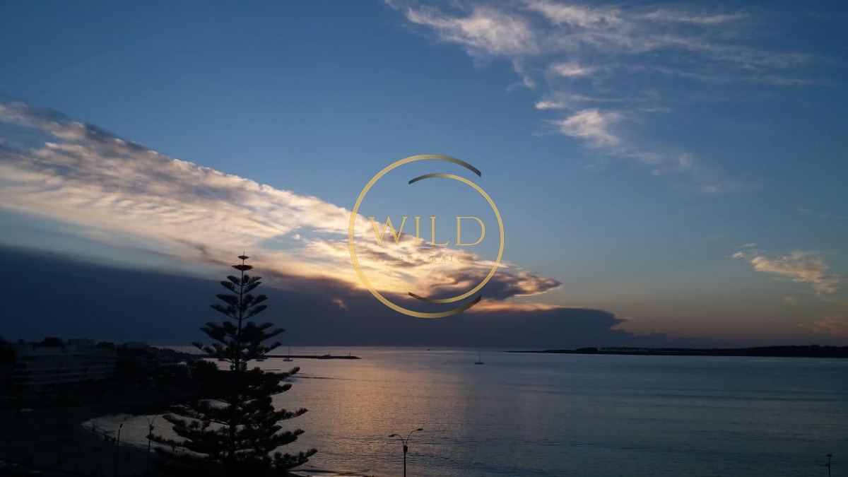 Apartamento ID.2463 - Alquiler de temporada 3 dormitorios primera linea mansa con vista al mar