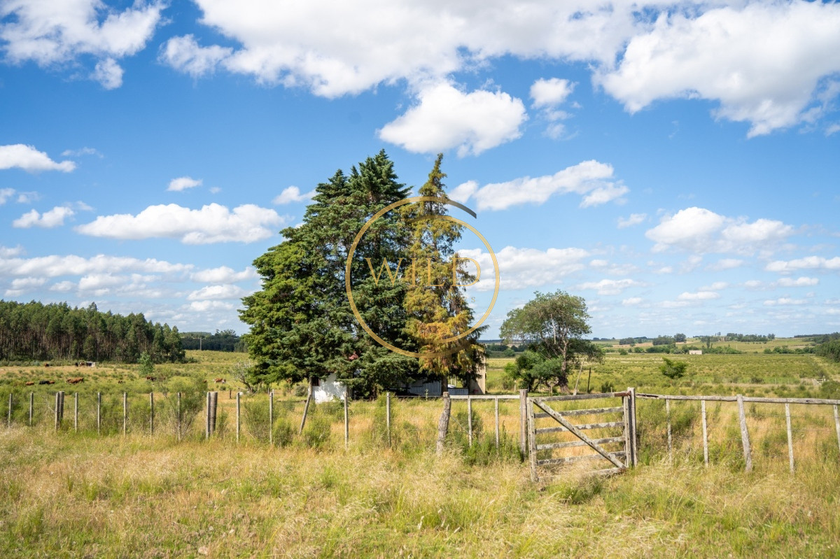 Campo Ref.4887 - VENTA DE CAMPO COMPLETO EN MIGUES CANELONES DE 72has.