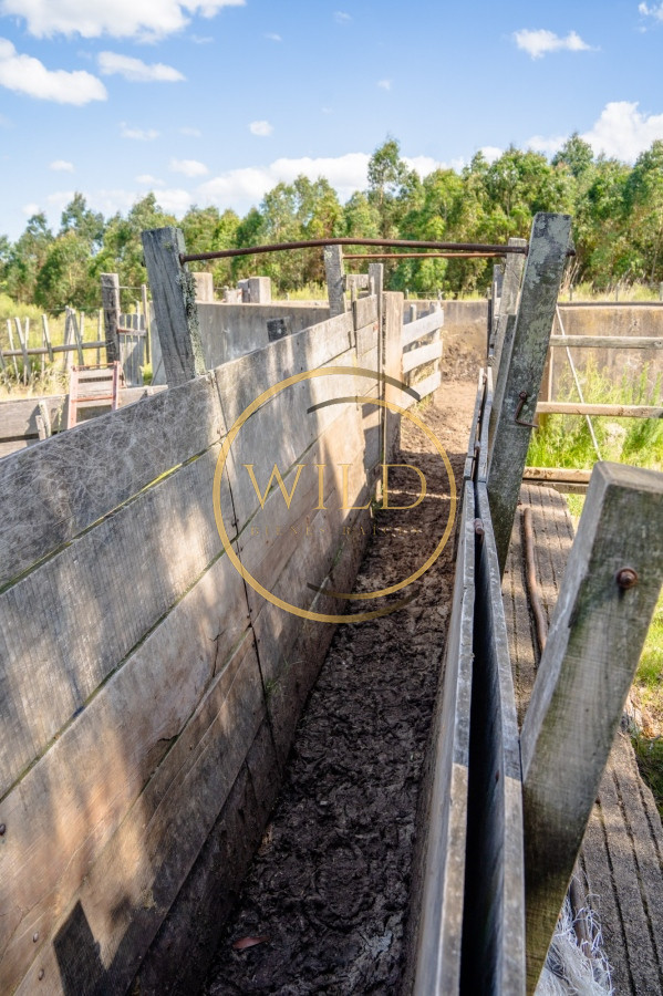 Campo Ref.4887 - VENTA DE CAMPO COMPLETO EN MIGUES CANELONES DE 72has.