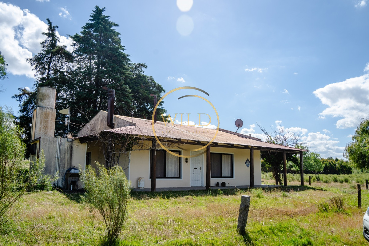 Campo Ref.4887 - VENTA DE CAMPO COMPLETO EN MIGUES CANELONES DE 72has.