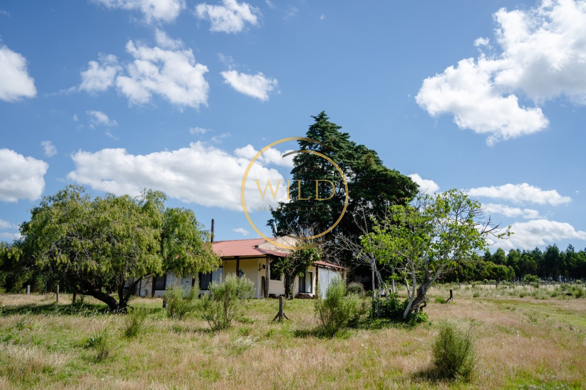 Campo Ref.4887 - VENTA DE CAMPO COMPLETO EN MIGUES CANELONES DE 72has.