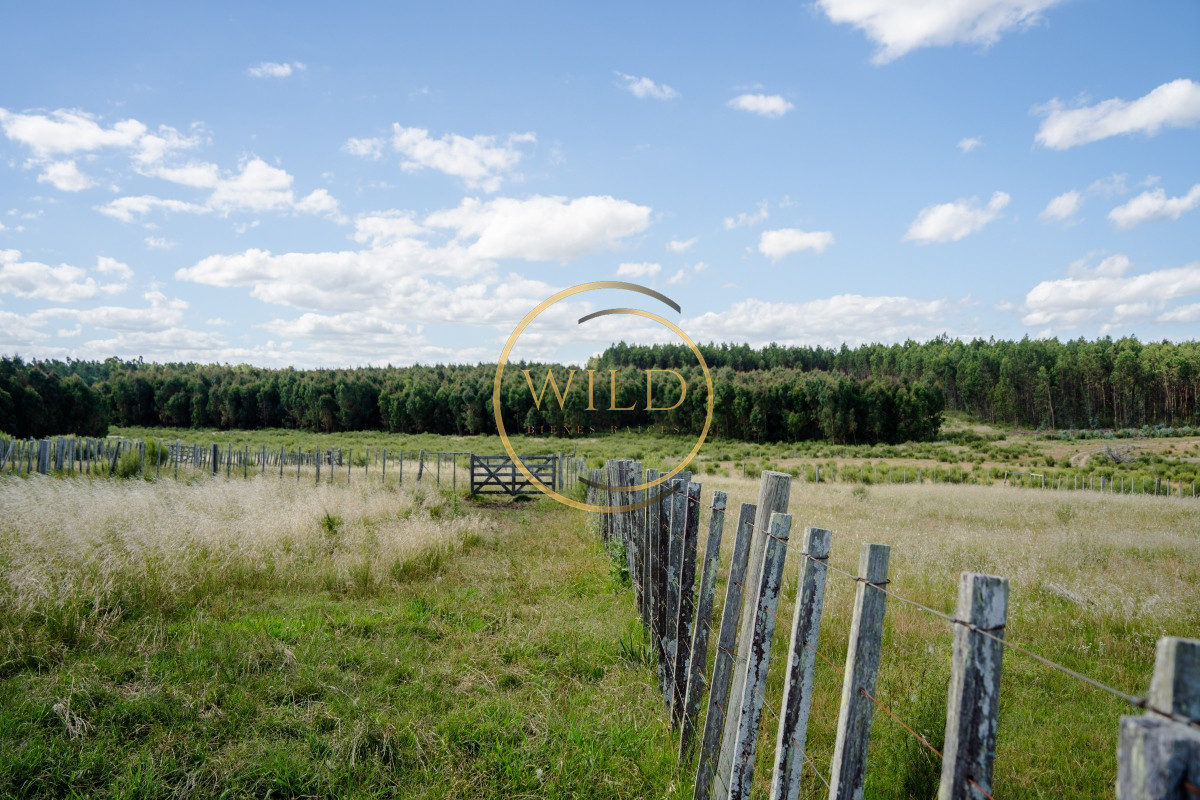 Campo Ref.4887 - VENTA DE CAMPO COMPLETO EN MIGUES CANELONES DE 72has.