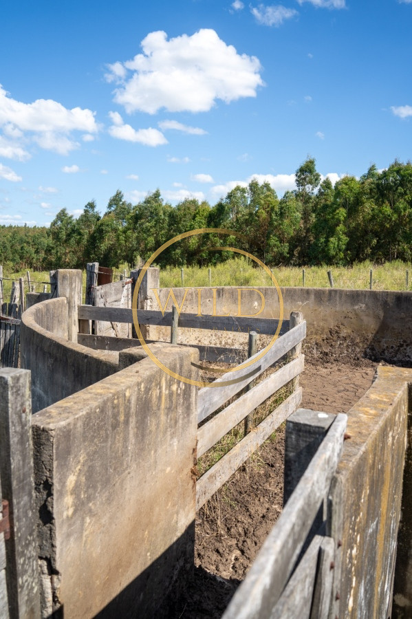 Campo Ref.4887 - VENTA DE CAMPO COMPLETO EN MIGUES CANELONES DE 72has.