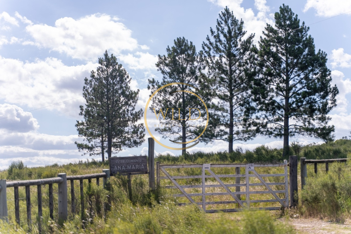 Campo Ref.4887 - VENTA DE CAMPO COMPLETO EN MIGUES CANELONES DE 72has.