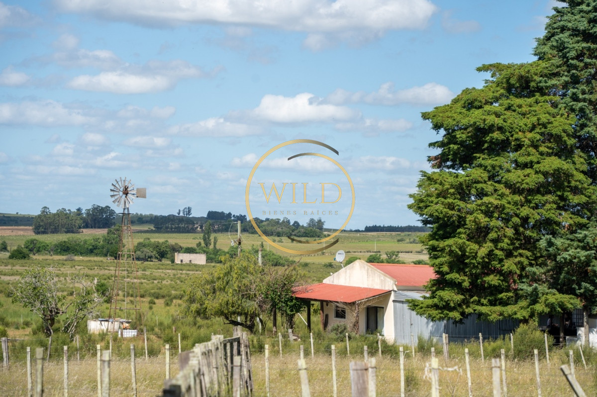 Campo Ref.4887 - VENTA DE CAMPO COMPLETO EN MIGUES CANELONES DE 72has.