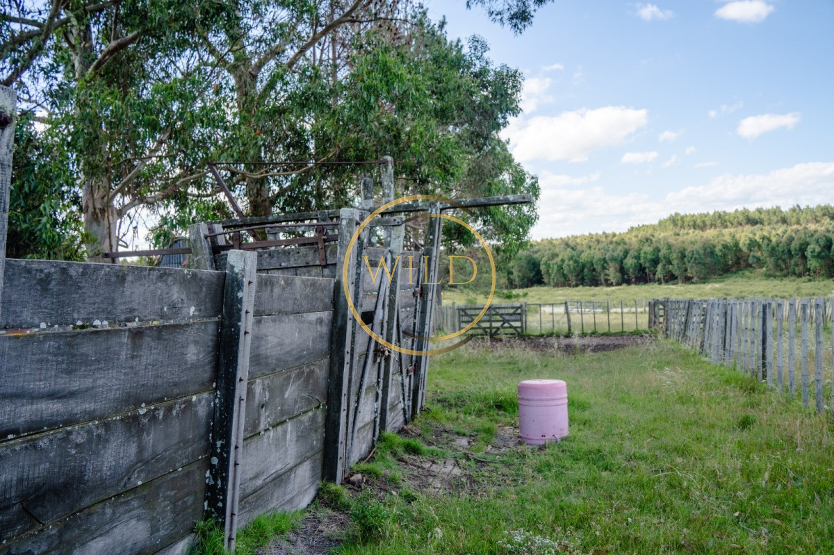 Campo Ref.4887 - VENTA DE CAMPO COMPLETO EN MIGUES CANELONES DE 72has.