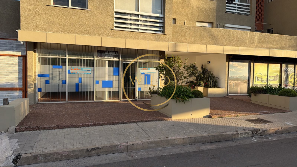Local Comercial ID.5715 - Alquiler Local en Maldonado centro 110 mts