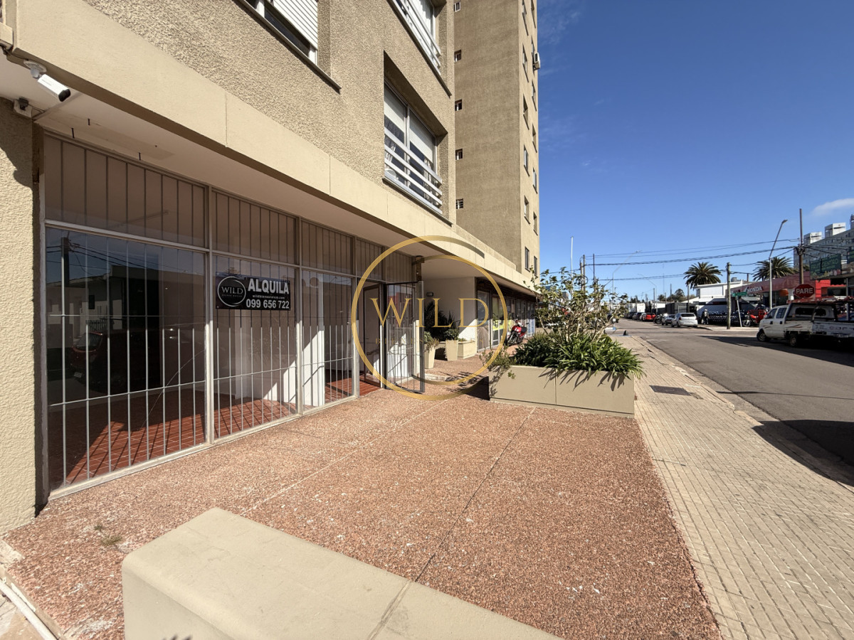 Local Comercial ID.5715 - Alquiler Local en Maldonado centro 110 mts