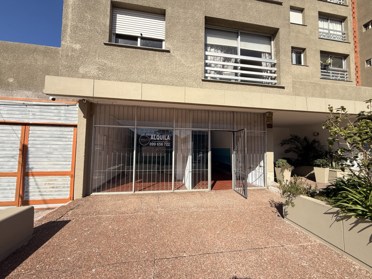 Alquiler Local en Maldonado centro 110 mts