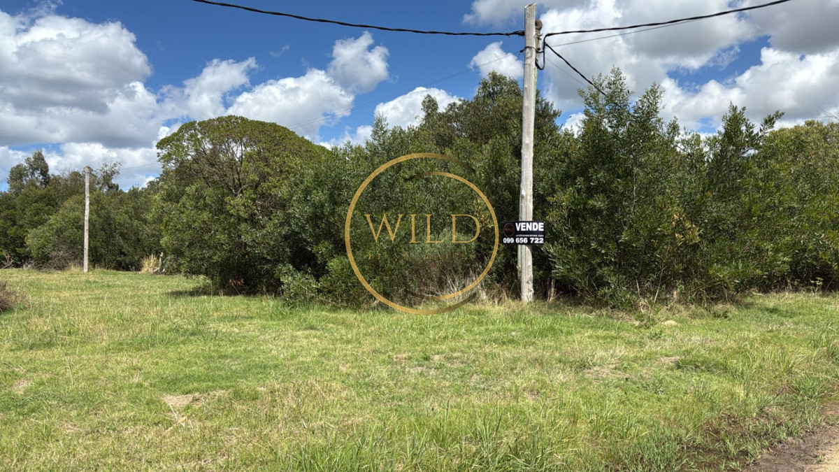 Terreno ID.5607 - Oportunidad terreno en Santa Mónica José Ignacio