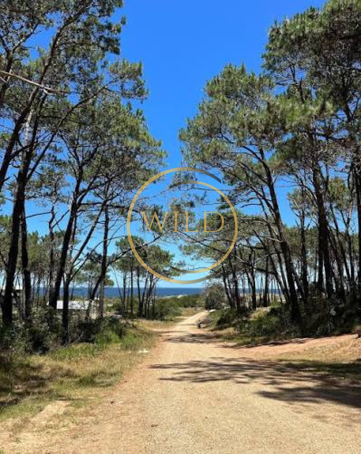 Terreno ID.5683 - Venta en Ocean Park