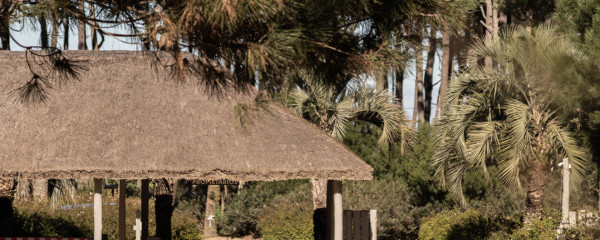 Venta Terreno Pinar del Faro (PFI2)