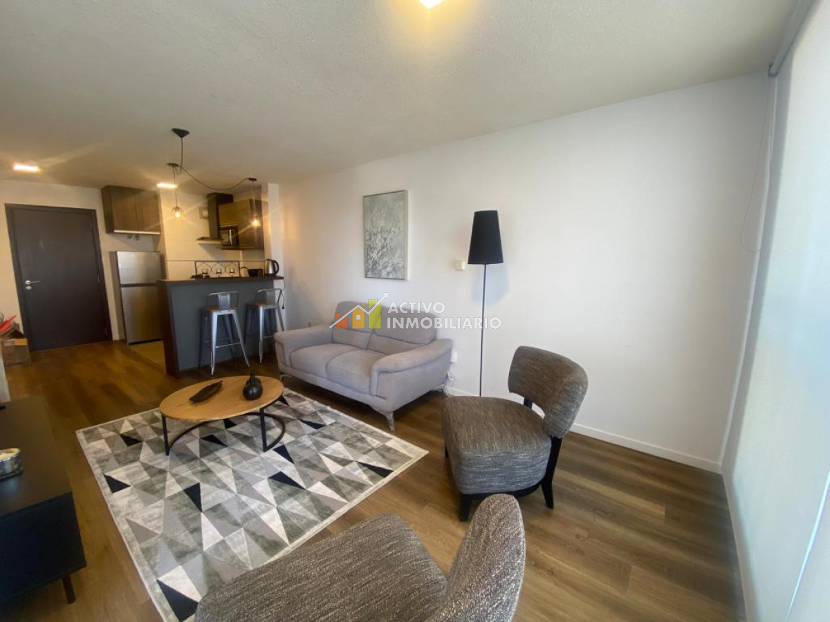Apartamento ID.339 - Alquiler apartamento 1 dormitorio amoblado   con garaje 