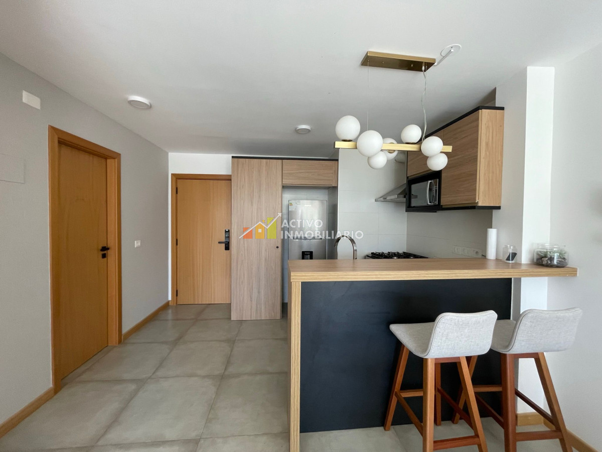 Apartamento ID.523 - Alquiler apartamento 1 dormitorio amoblado   con garaje 