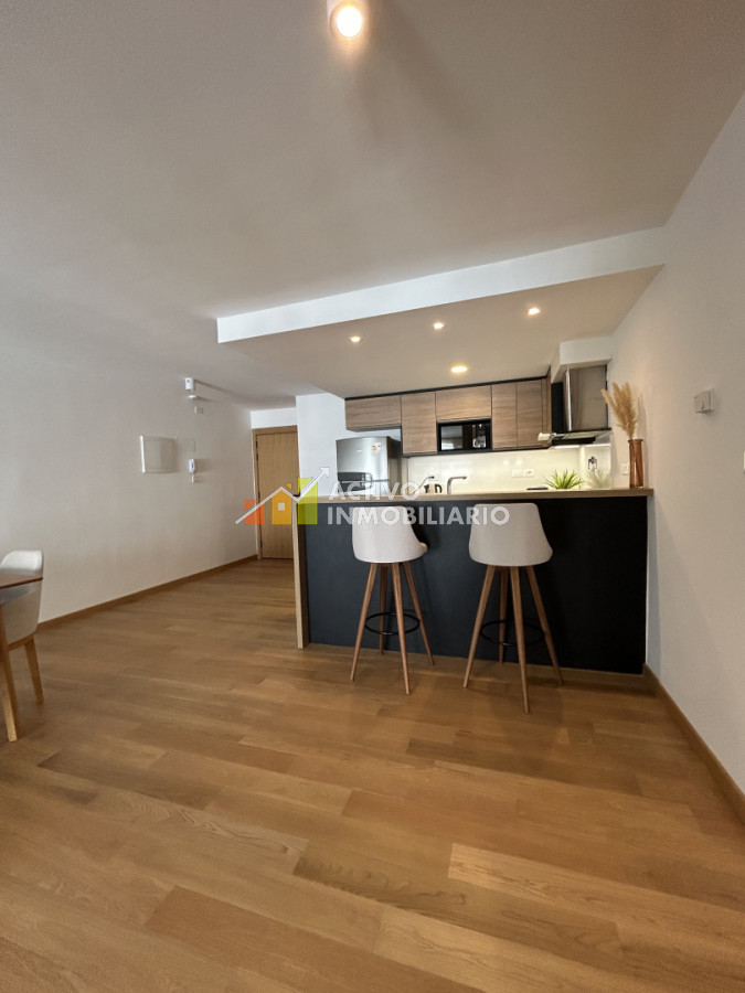 Apartamento ID.464 - Alquiler apartamento 1 dormitorio amoblado   ( opcion garaje ) 