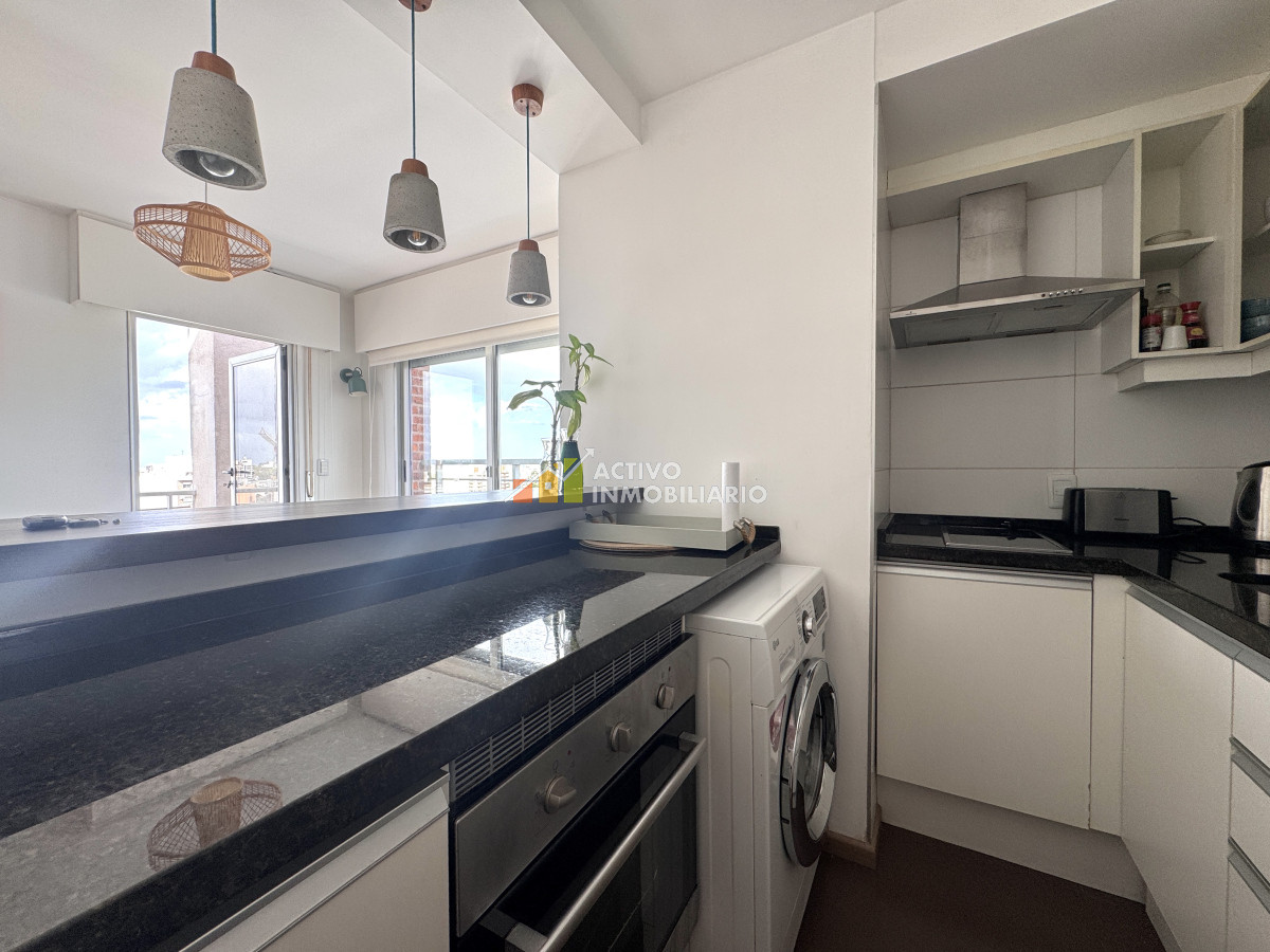 Apartamento ID.384 - Alquiler apartamento 1 dormitorio amoblado con garaje y terrazas 