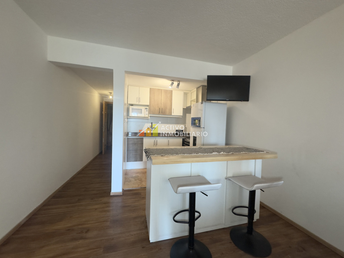 Apartamento ID.509 - Alquiler Monoambiente amoblado-Punta carretas
